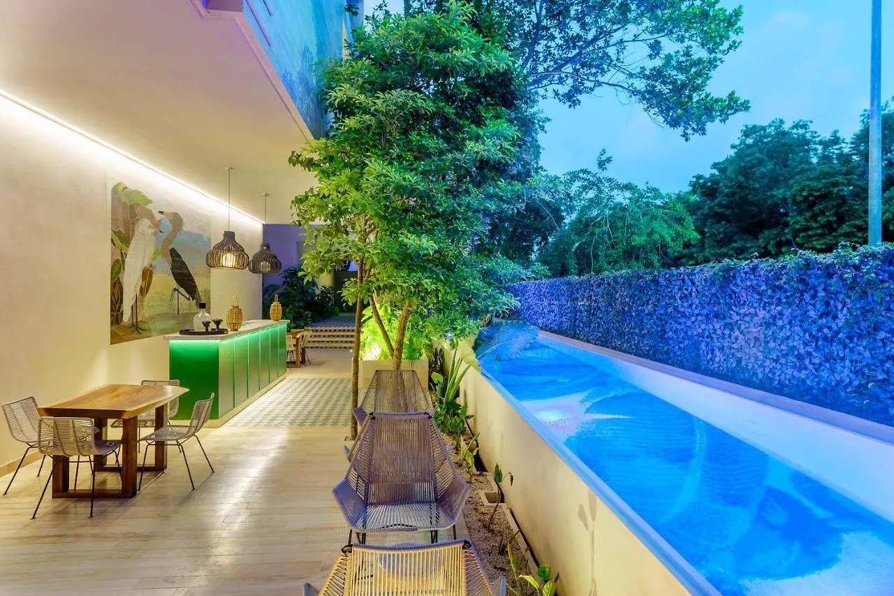 403 Stunning Rooftop Apartment For Couples W/Private Pool Tulum Mexico