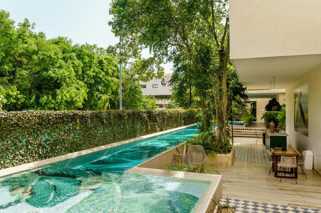 403 Stunning Rooftop Apartment For Couples W/Private Pool Tulum 0*,  Mexico