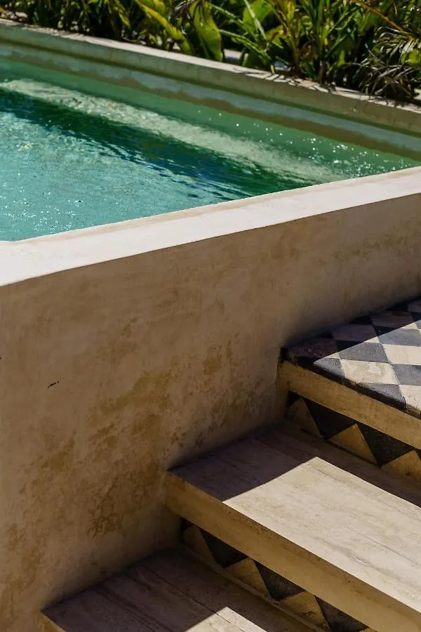 403 Stunning Rooftop Apartment For Couples W/Private Pool Tulum