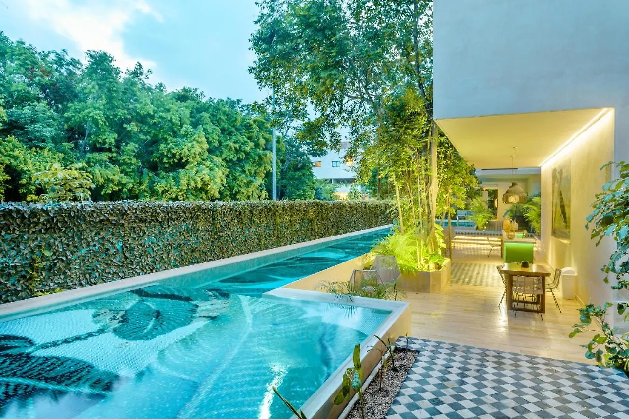 403 Stunning Rooftop Apartment For Couples W/Private Pool Tulum