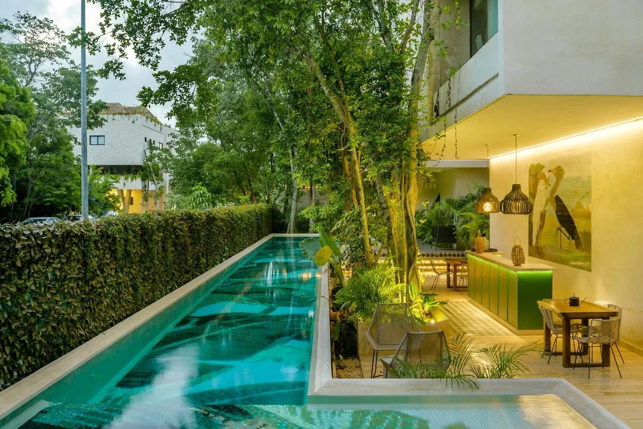 403 Stunning Rooftop Apartment For Couples W/Private Pool Tulum