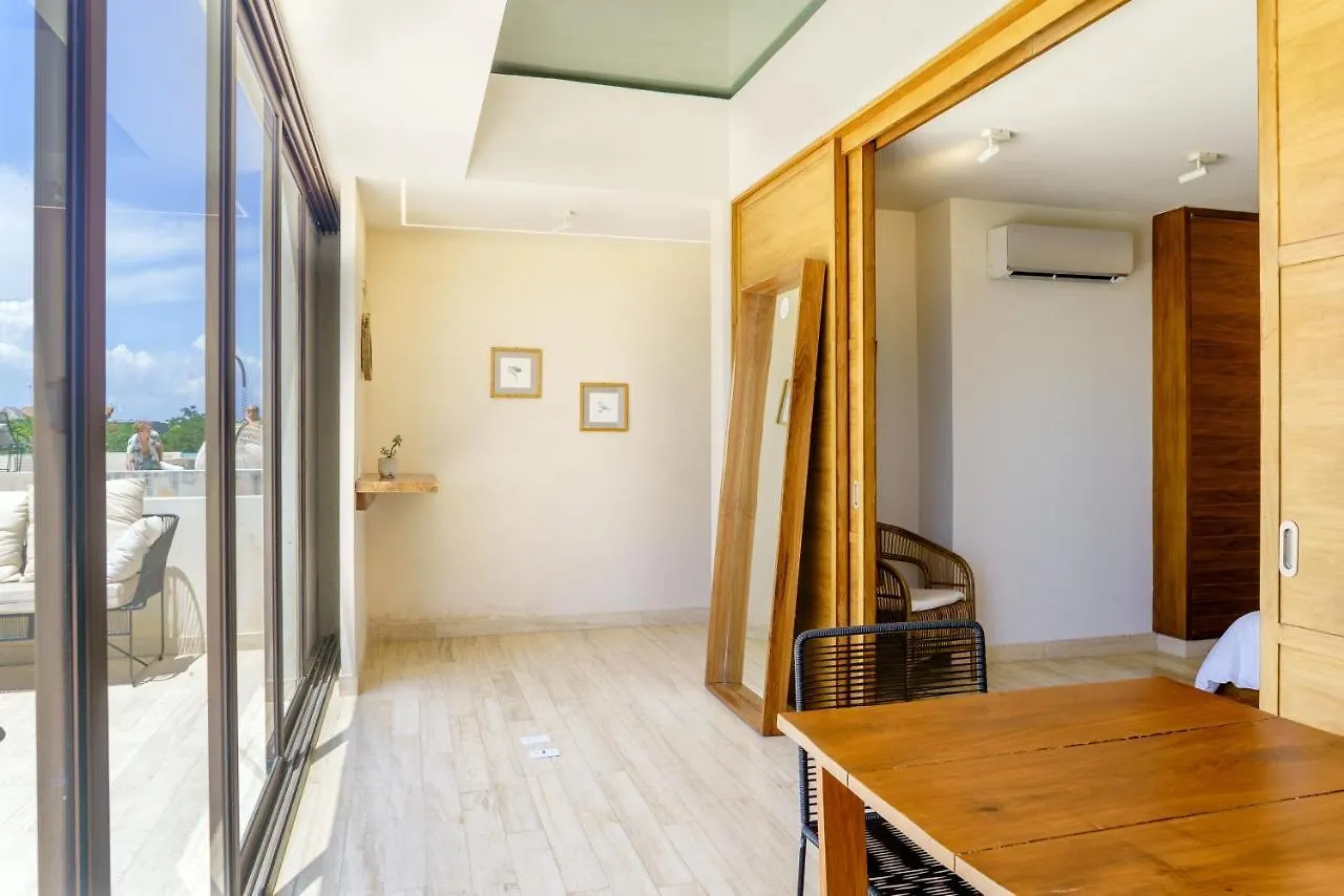 403 Stunning Rooftop Apartment For Couples W/Private Pool 图卢姆 墨西哥