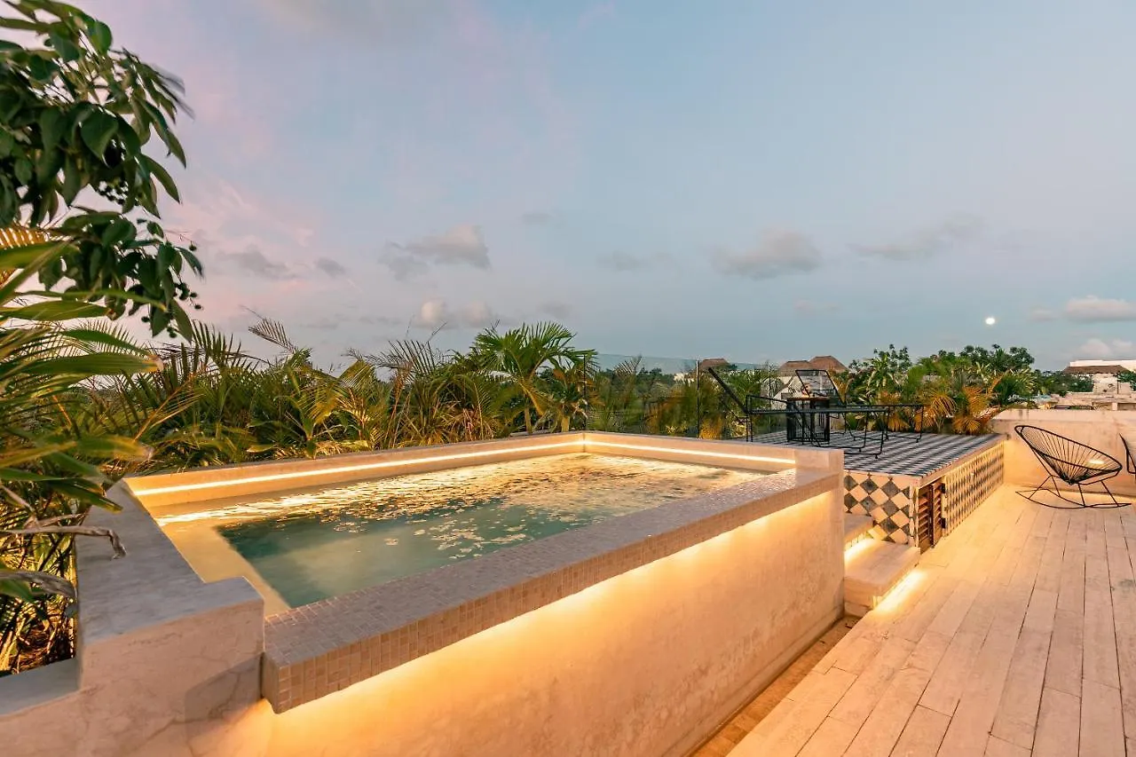 403 Stunning Rooftop Apartment For Couples W/Private Pool 图卢姆